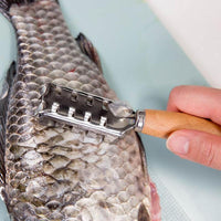 1pcs StainlesS Steel Fish Scale Scraper Kitchen