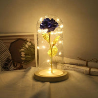 LED Beauty Rose and Beast Battery