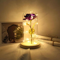 LED Beauty Rose and Beast Battery