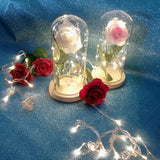 LED Rose Night Lamp Copper Wire String Lights