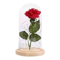 Rose Flower Bottle String Lights LED Night