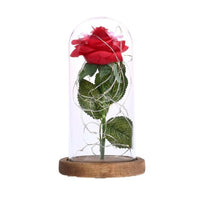 Rose Flower Bottle String Lights LED Night