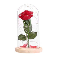 Rose Flower Bottle String Lights LED Night