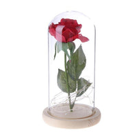 Rose Flower Bottle String Lights LED Night