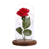 Rose Flower Bottle String Lights LED Night