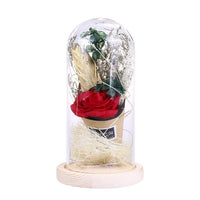 Rose Flower Bottle String Lights LED Night